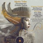 Mystic Tribe ECSTATIC DANCE @ Pyramid (March 1st)