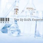 The DJ Guzl Experiment