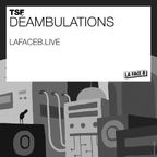TSF | Déambulation 2022-01 | AmbientNoise #1