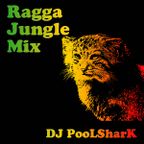 Ragga Jungle Mix by DJ PooLSharK