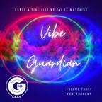 Vibe Guardian 3 (EDM Workout)