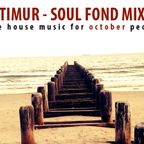 djtimur.com - soul fond mix 09 (nice house music for october people)