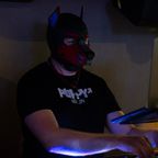 Alley Pets - August 2023