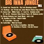 Baga Sound - Big Inna Jungle Mix