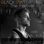 Hardtechno / Schranz Closing - Hammerschmidt @ Black Water Trip - The Festival / HDK Göttingen