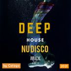 Deep House NU Disco Mix vol. #1 / 2021