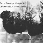 CHAOS SEDATED #175 - HERR LOUNGE CORPS & CADAVEROUS CONDITION