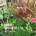 DAD RADIO #23 (DDF21) | art & the garden
