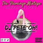 FLAMINGO MIXTAPE JAN '23