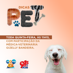 DICAS PET 15 DE SET 2022