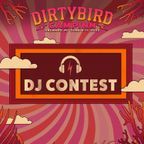 Dirtybird CampINN 2023 DJ Contest - Ström