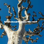 Twistedsoul Monday Mix #429