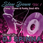 Dj Spinna presents: Slow Down Vol 1