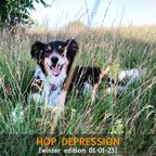 Hop Depression mixtape [winter edition 01-01-23]