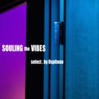 Souling the Vibes - select. by Ospitone