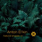 Mudra podcast / Anton El'Kin - Natural Shapes #2 [MM70]