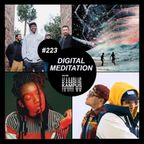 Digital Meditation # 223 [Young Britain]