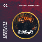 Structured Rhythms Volume 2 - Mixed by DJ Shadowfigure