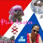 HNT #6 Pink Amster Weekend