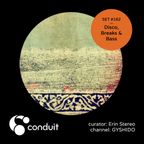 Conduit Set #162 | Disco, Breaks & Bass (curated by Erin Stereo) [GYSHIDO]