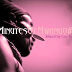 30 Minutes of Mwango #17 - Mixed by Gee Velez
