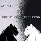 27.1.23-LIQUID FUNK AND JUNGLE DNB- Jay Rush