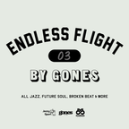ENDLESS FLIGHT #3 (Jan.'20)