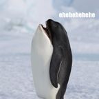 Waxhole - The June Mix