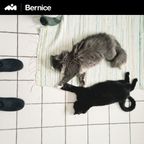 Bernice: Guest Mix — 01/12/21