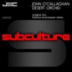 John O'Callaghan ft Cathy Burton - Perfection (Shogun Remix)