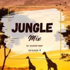 DJ Queen Bee Old Skool Jungle Mix 004
