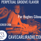 Perpetual Groove Flavor S1 Ep 22 par Hughes Giboulay