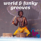 world & funky grooves