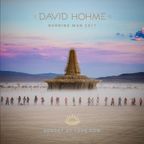 David Hohme - Love Cow Sunset, Burning Man 2017