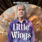L'envie #157 :: Little Wings