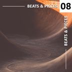 Beats & Pieces vol. 8 [Charles Bradley, Auntie Flo, Fatima, Ebo Taylor, Mildlife, Pongo, Danvers]