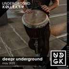 Dave Reyn - the deepr underground show with Special Guest Micro: August '23 (UDGK: 21/08/2023)