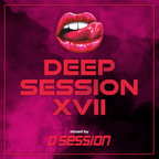 D Session- Deep Session XVII. (www.dsession.hu)