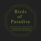 Birds of Paradise de NICOLAS BENEDETTI # 17