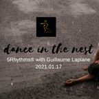 Dance in the nest - TRAVELS - 5Rhythms zoom session 17.01.2021 with guidance