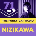 The Funky Cat radio #71 - Nizikawa guestmix (May 2022)