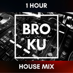 brokubeats - 1 Hour House mix