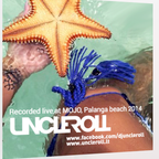 Uncle Roll - Summer Mix 2014 (Recorded Live at MOJO Palanga Beach)