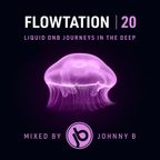 Flowtation 20 - Liquid Drum & Bass Mix - November 2023