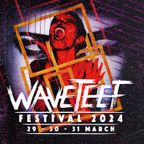All the bands for Waveteef Festival 2024