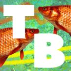 Tropical Beats Radio Show April 20 Feat. Soraia Drummond, Borchi, Maajo, Frenezik, Damily, Populous