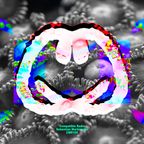 CMR100 - Sebastian Markiewicz - NFT