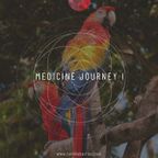 ** Medicine Journey I **