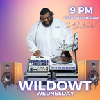 WildOwt Wednesday 2.28.24 - A Groove