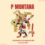 Afrobeats & Amapiano Summer 23 Mix